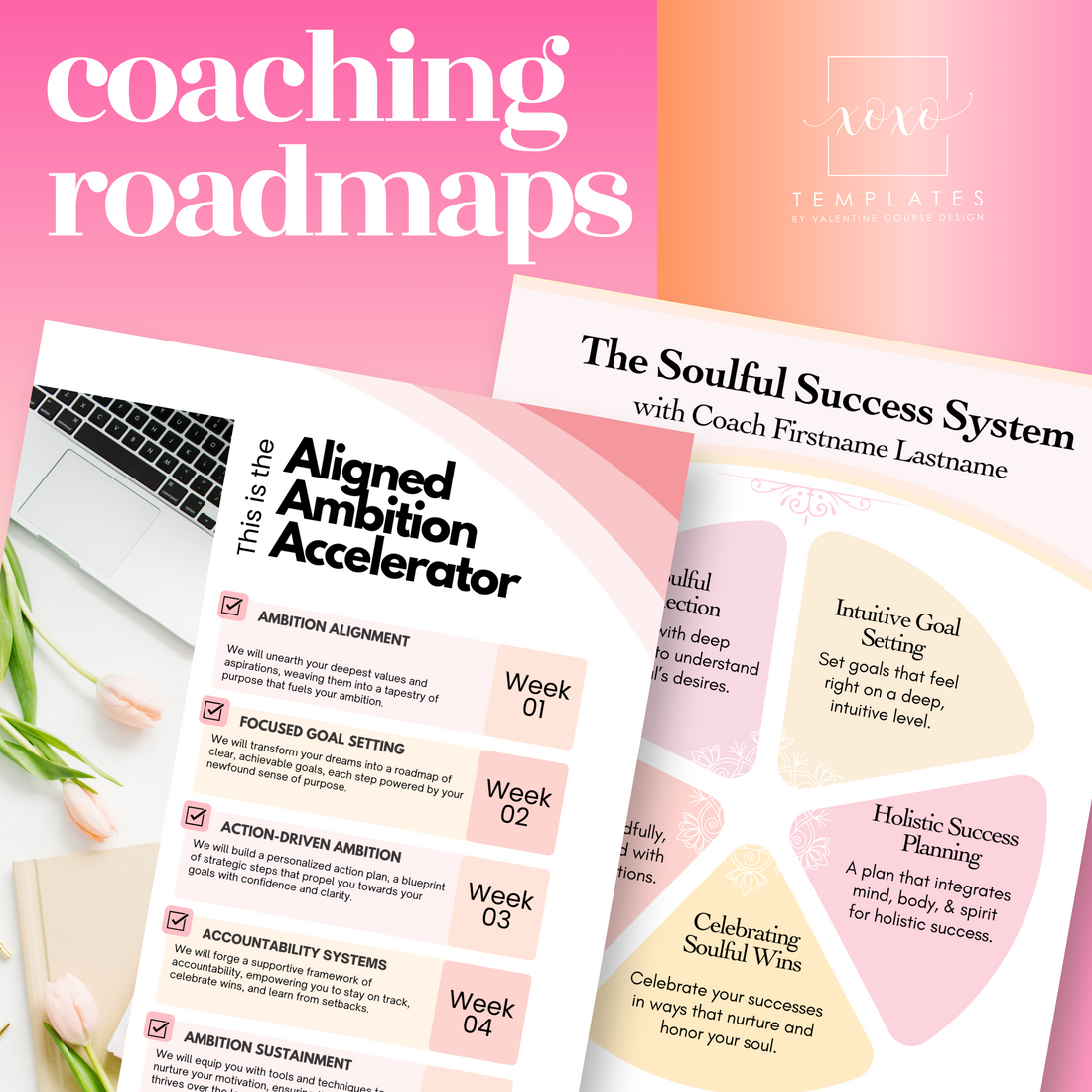 Success Coaching Roadmaps