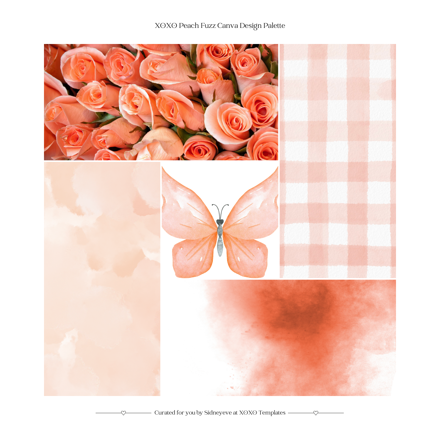 XOXO Peach Fuzz Canva Design Palette