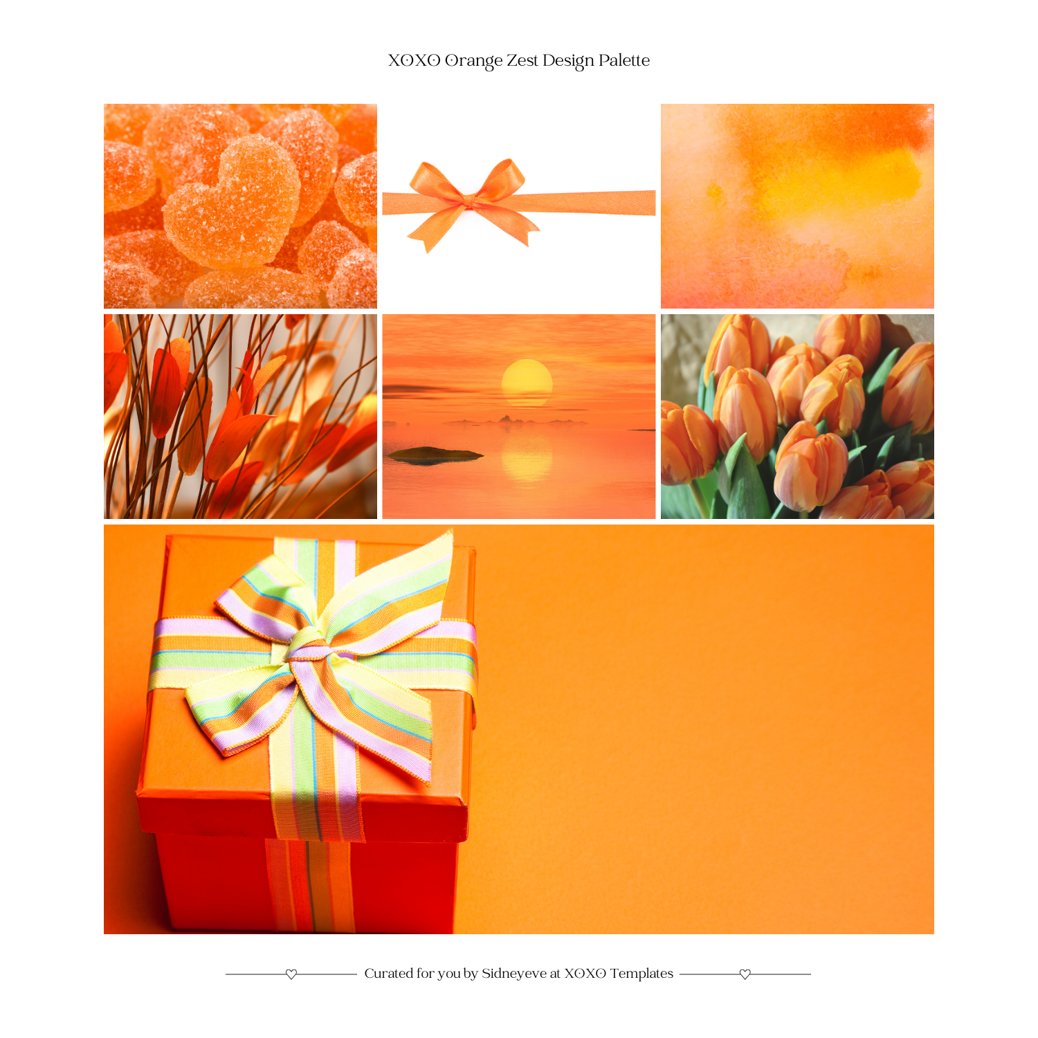XOXO Orange Zest Canva Design Palette