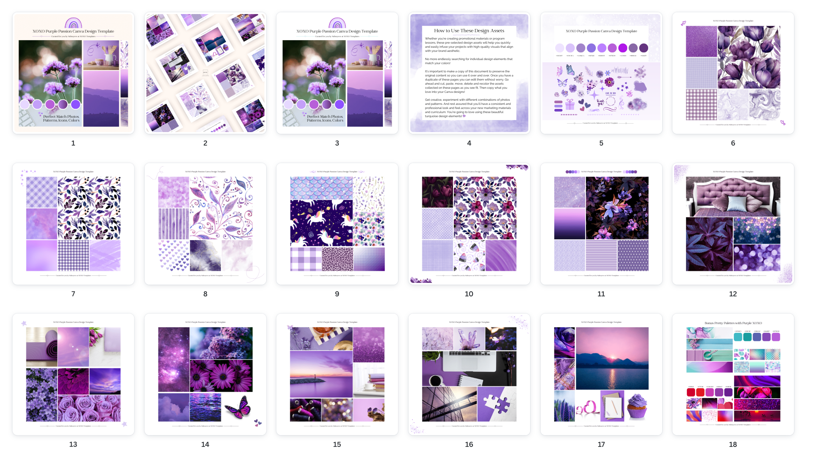 Purple Passion Canva Design Palette