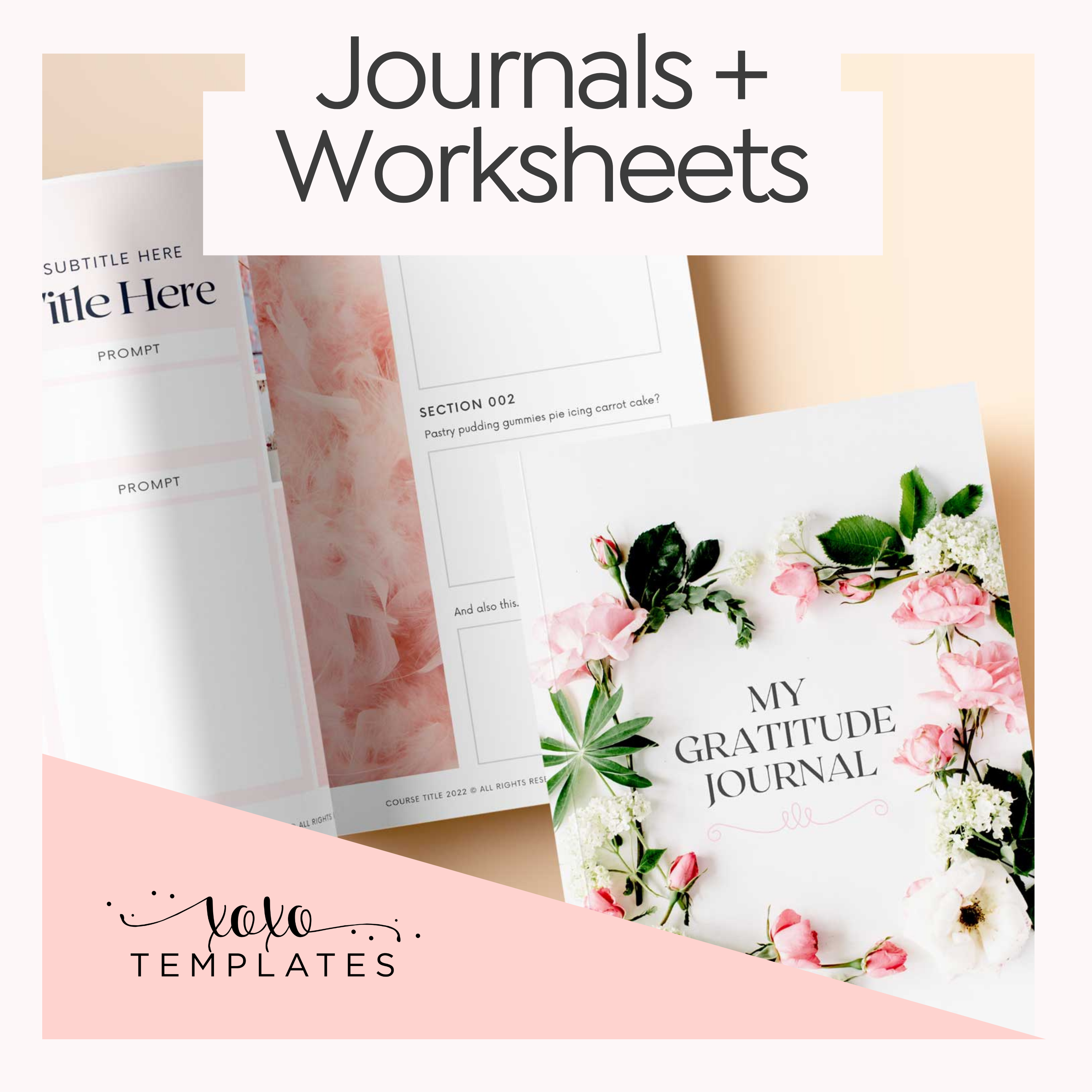 Journal and Worksheet Pages
