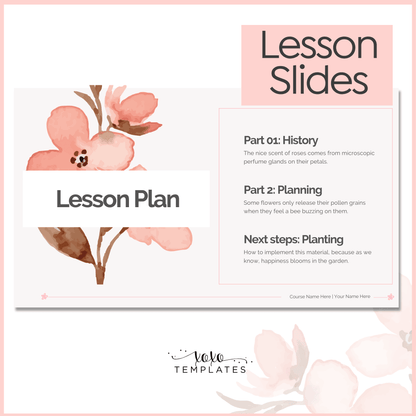 My Perfect Lesson Slides